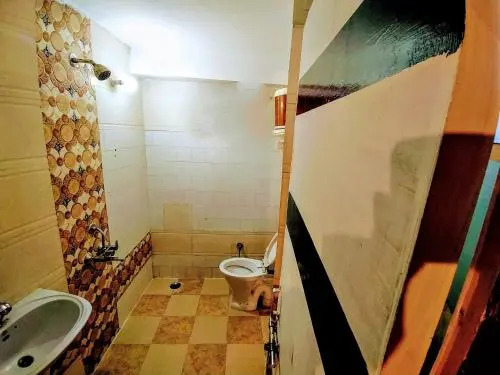 Манали: Antarctica Guest House
