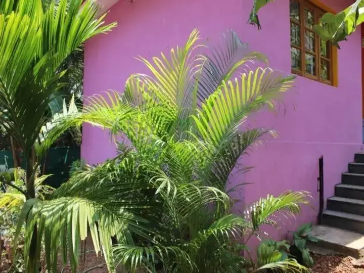 Арпора: Kalavati Guest House