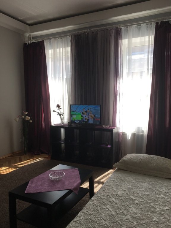 Санкт-Петербург: U Ploschadi Vosstaniya Apartments