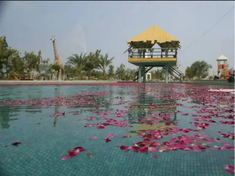 Бавла: Nalsafari Resort