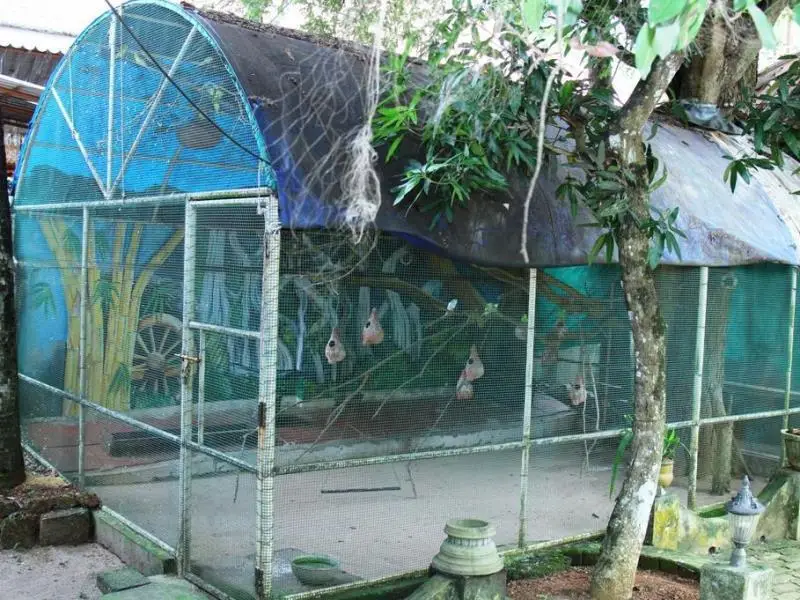 Аллеппи: Temple View Residency