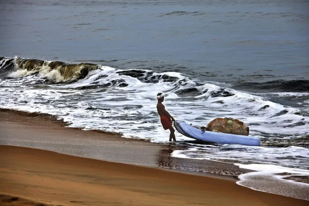 Cherthala: Carnoustie Beach Resort & Ayurveda Spa