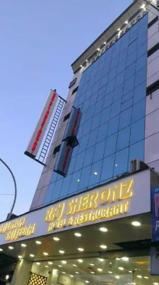 hotel raj sheronz — фото 1