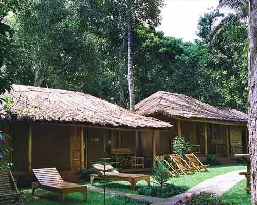 Кумили: Saj Jungle Village Thekkady