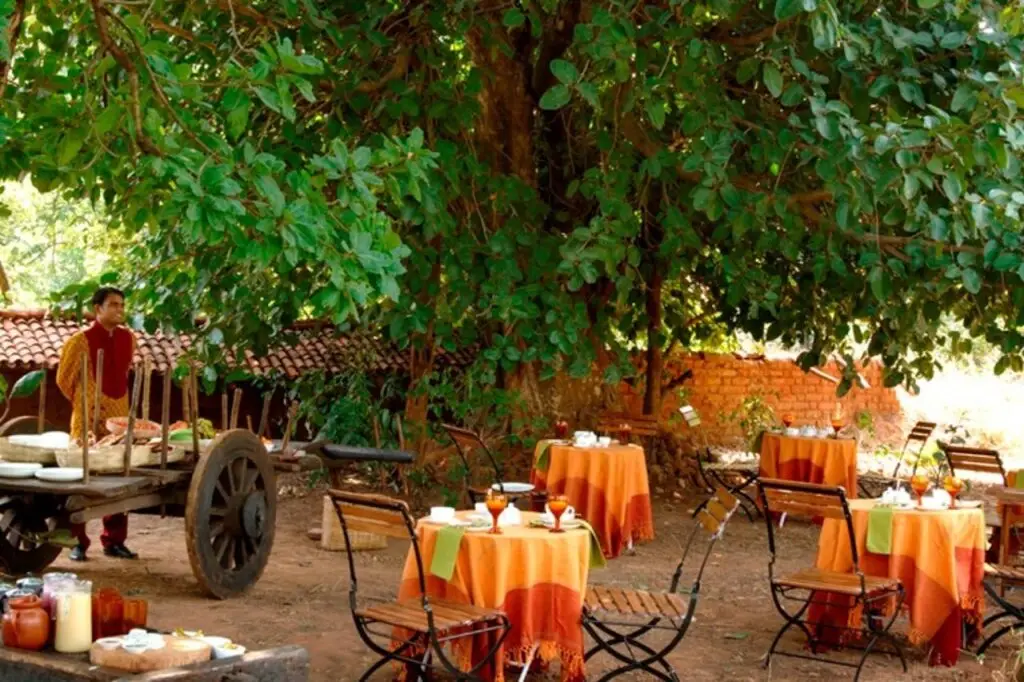 Панпата: Mahua Kothi, A Taj Safari - Bandhavgarh National Park