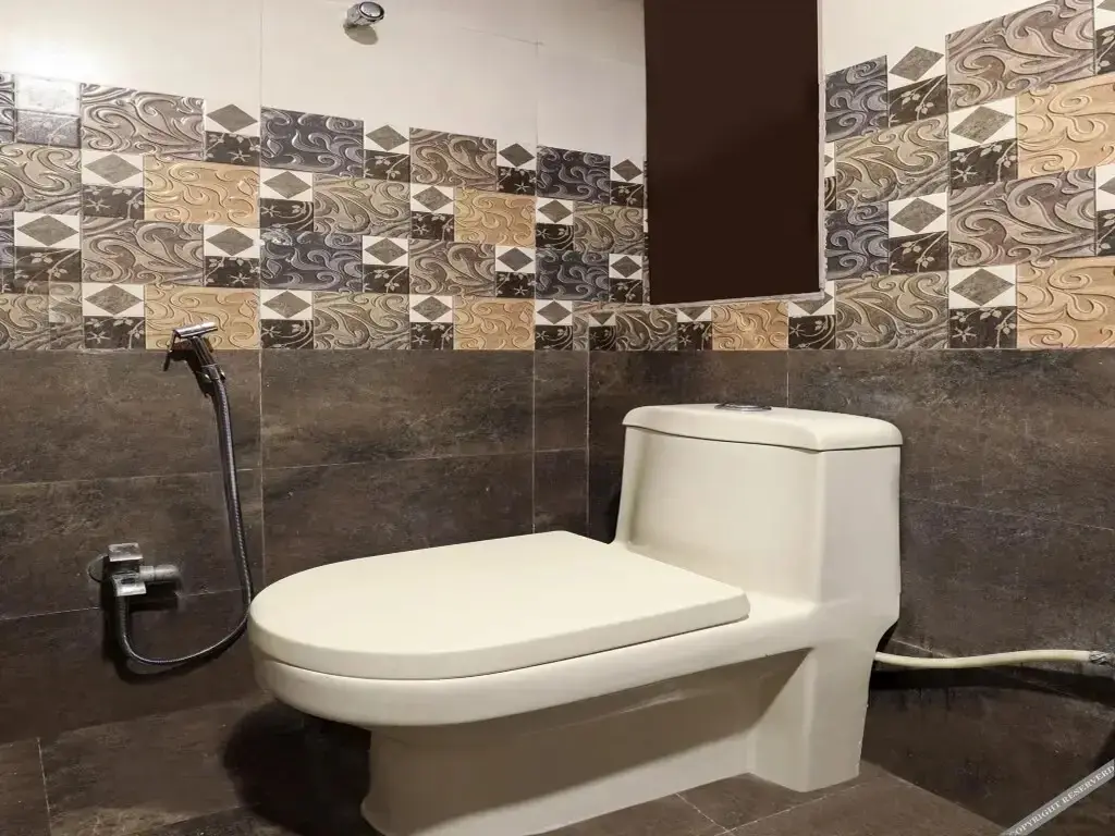 Джайпур: Hotel Shiva s Royal