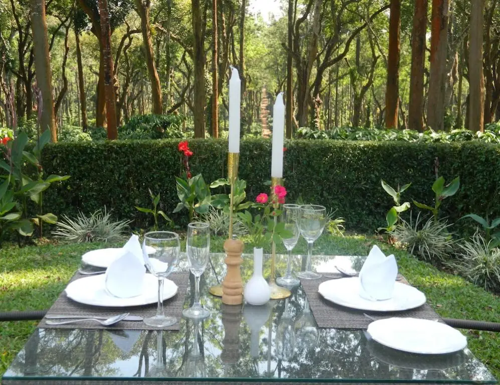 Полибетта: Ama Plantation Trails , Coorg