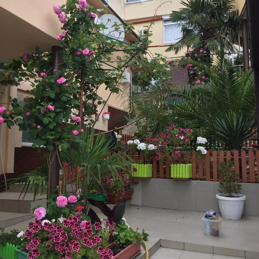 Адлер: Guest House Luiza