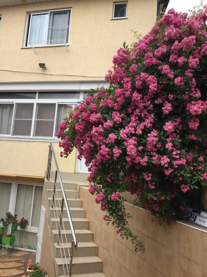 Адлер: Guest House Luiza