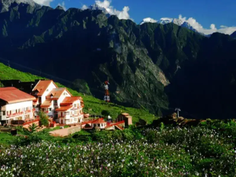 Чамоли: Clifftop Club Resort - Auli