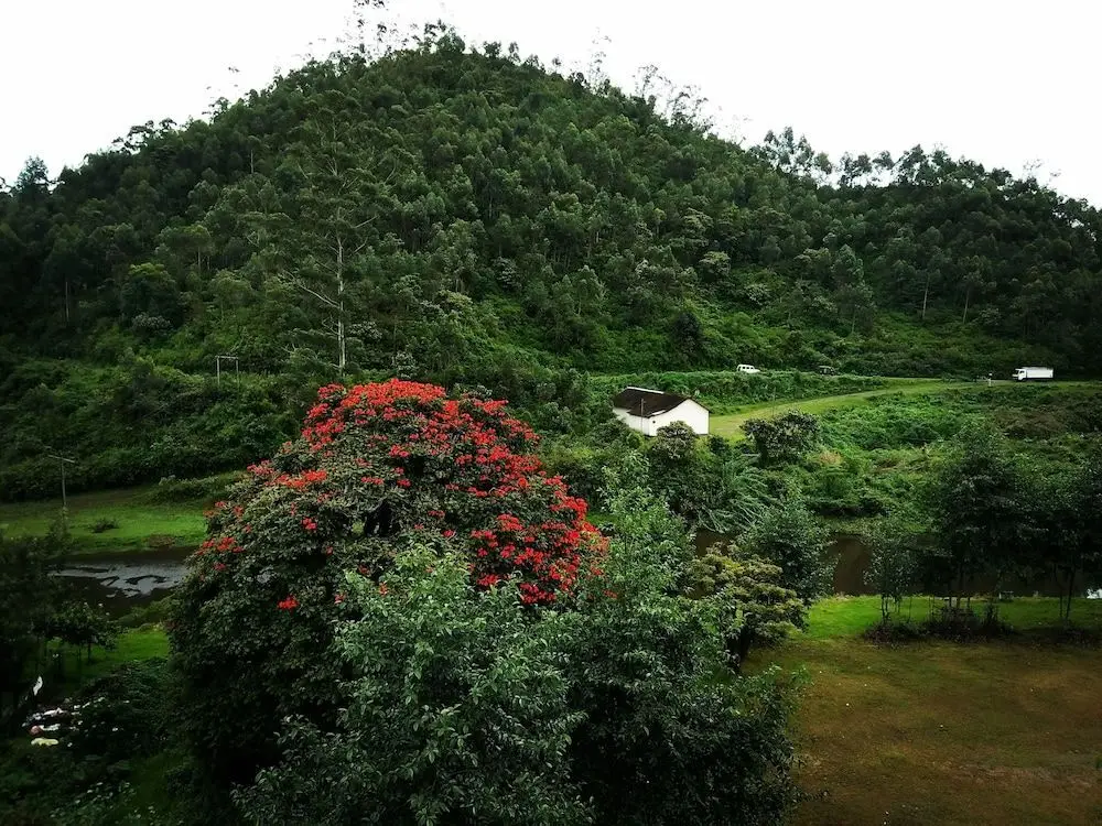 Муннар: Archana Residency