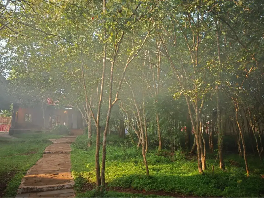 Бандипур: The Windflower Jungle Resorts and Spa