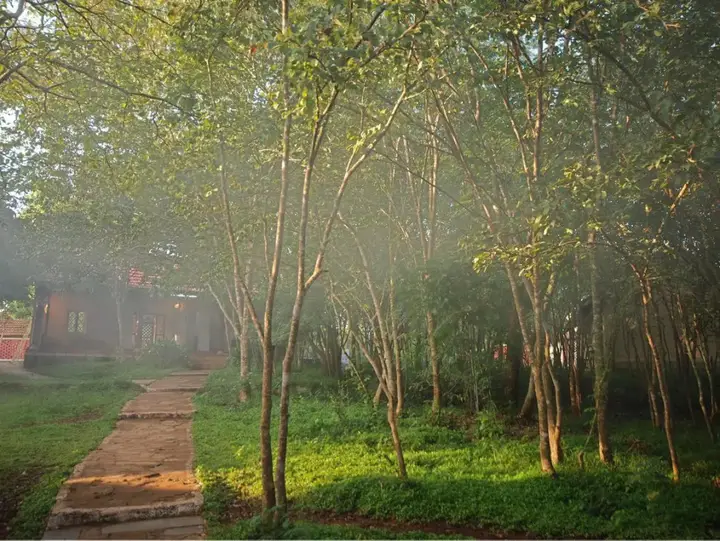Бандипур: The Windflower Jungle Resorts and Spa