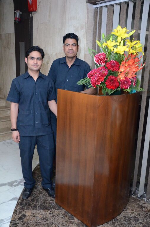 Нью-Дели: Hotel Delhi Airport