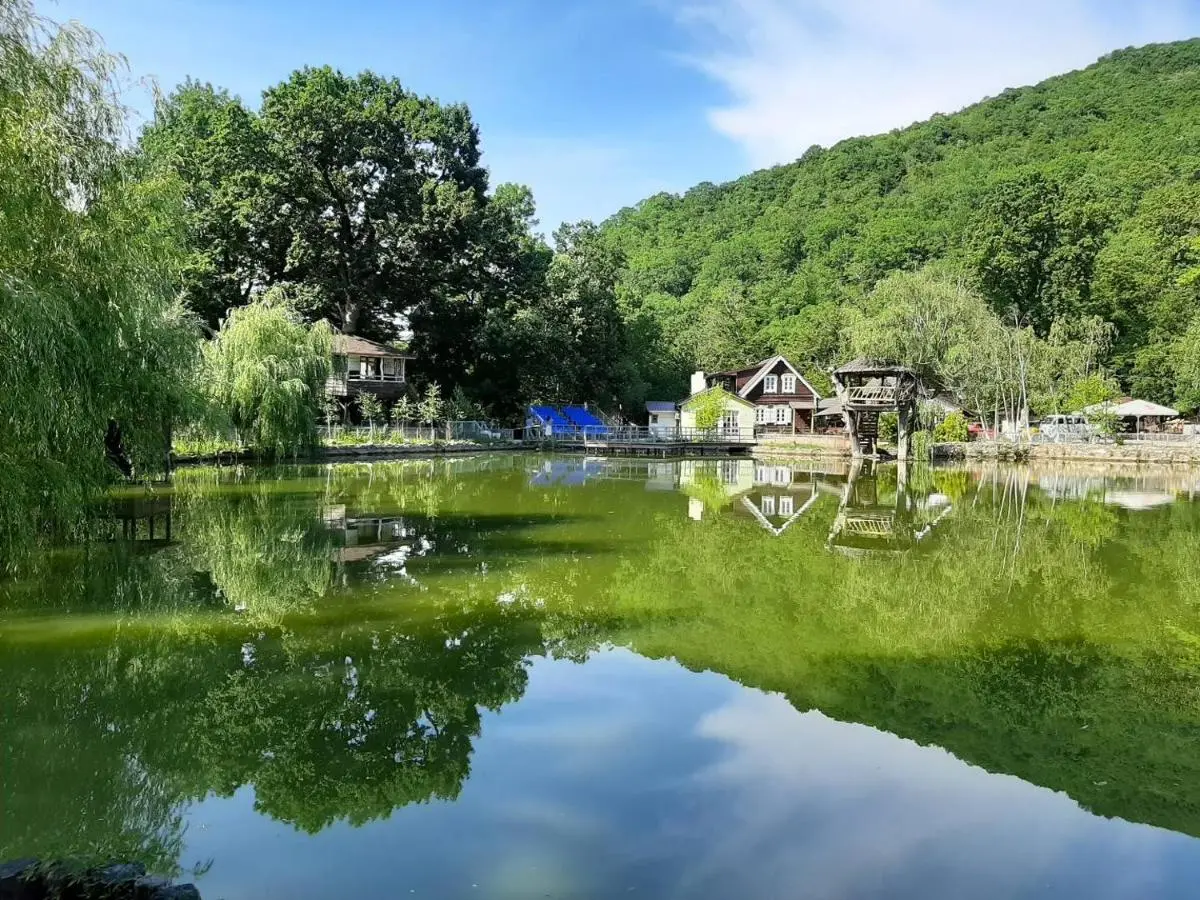Архипо-Осиповка: Eco-Derevnya Razdolie