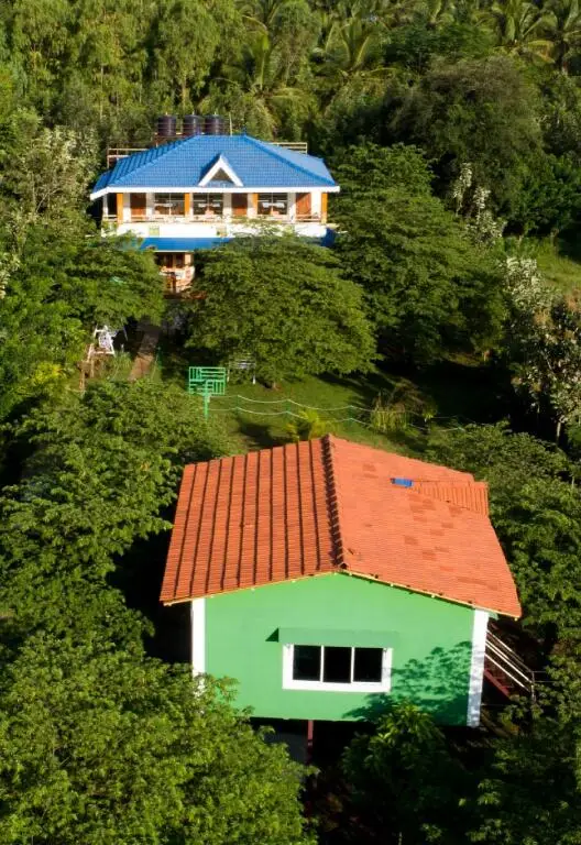 Ути: The Midway Jungle Resort Masinagudi