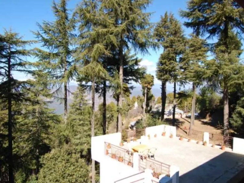 Раникхет: Kasaar Jungle Resort
