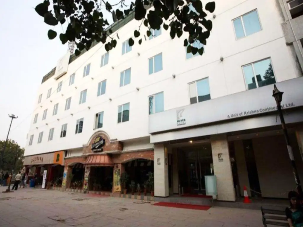 Нью-Дели: Silver Fern Boutique Hotel