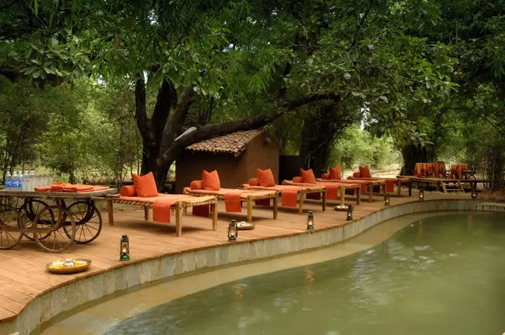 Панпата: Mahua Kothi, Bandhavgarh National Park