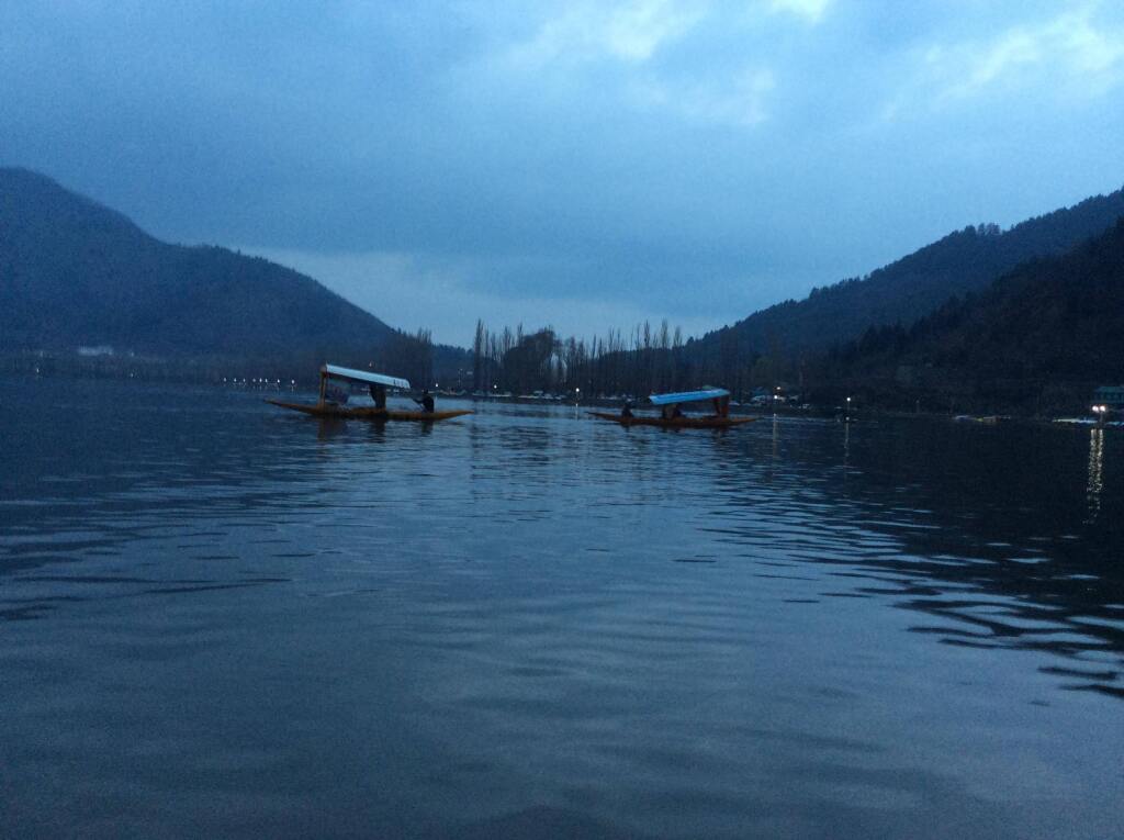 Шринагар: Goona Palace Houseboat