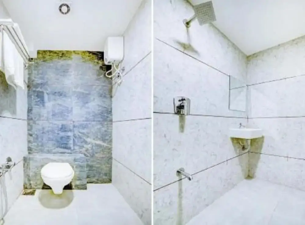 Наинитал: Ashok Hotel