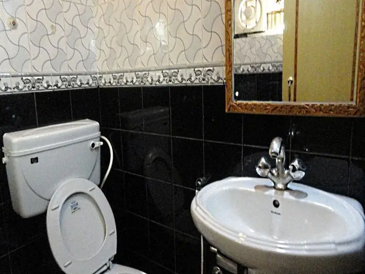 Шринагар: Hotel Krimzon Manor