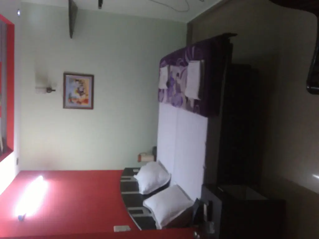 Нью-Дели: Hotel Surya Plaza