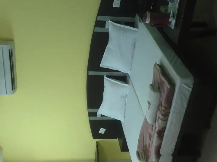 Нью-Дели: Hotel Surya Plaza