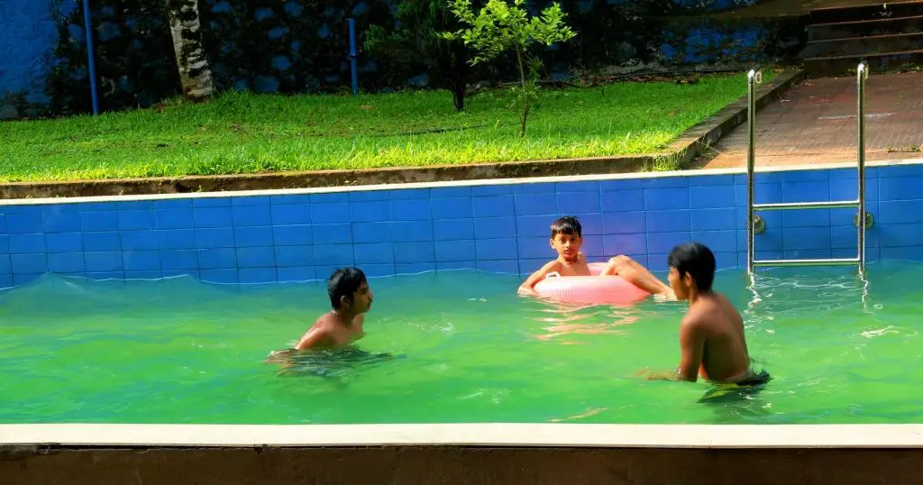 Aruvi resort Munnar — фото 1