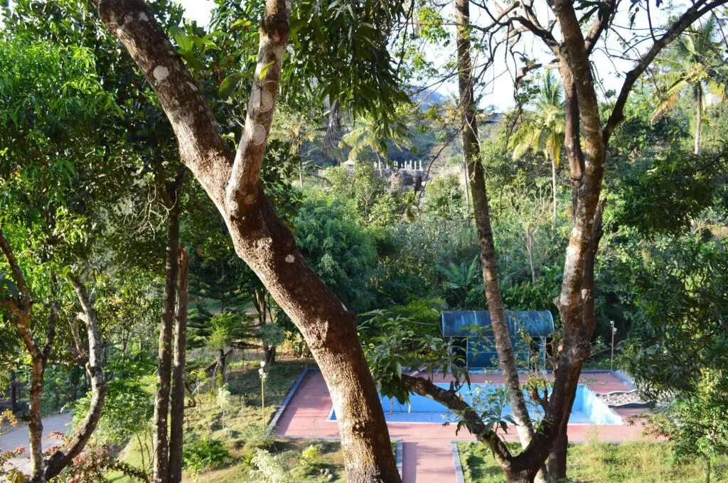 Муннар: Aruvi resort Munnar