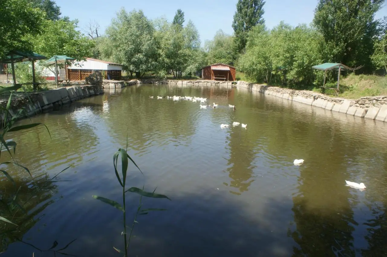 Фадеево: Ekoferma Mezhdumorye