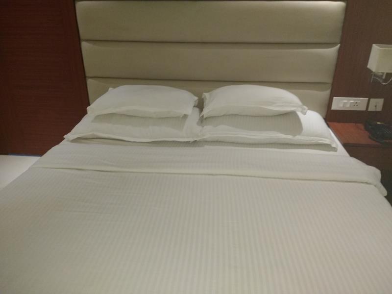 Колката: Hotel Aura