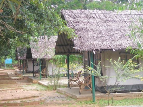 Бангалор: Bannerghatta Nature Camp-Jungle Lodges
