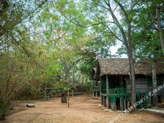Бангалор: Bannerghatta Nature Camp-Jungle Lodges