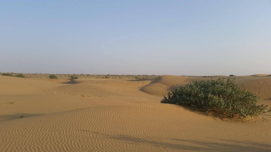 Джайсалмер: Yokoso Jaisalmer Camp
