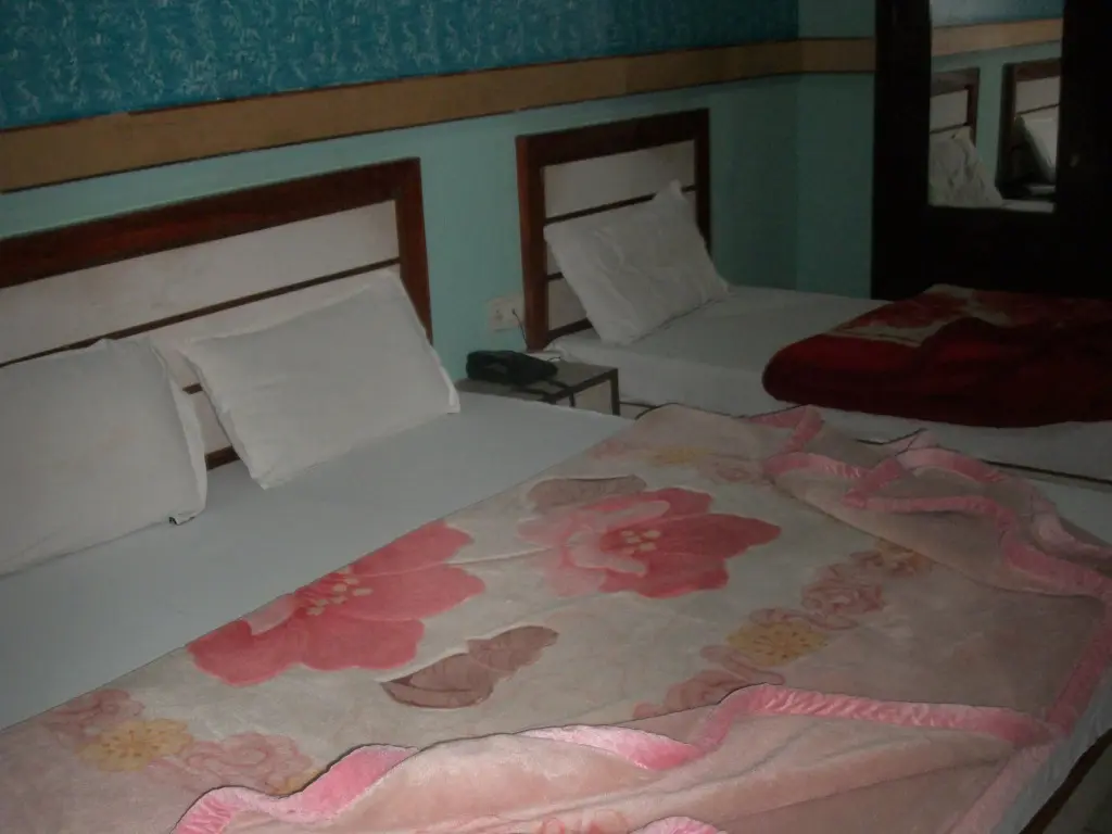 Нью-Дели: Hotel New Anand Niwas