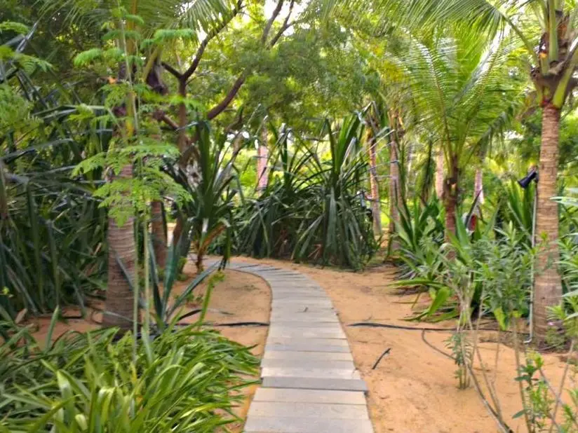 Калапет: The Dune Eco Beach Village and Spa