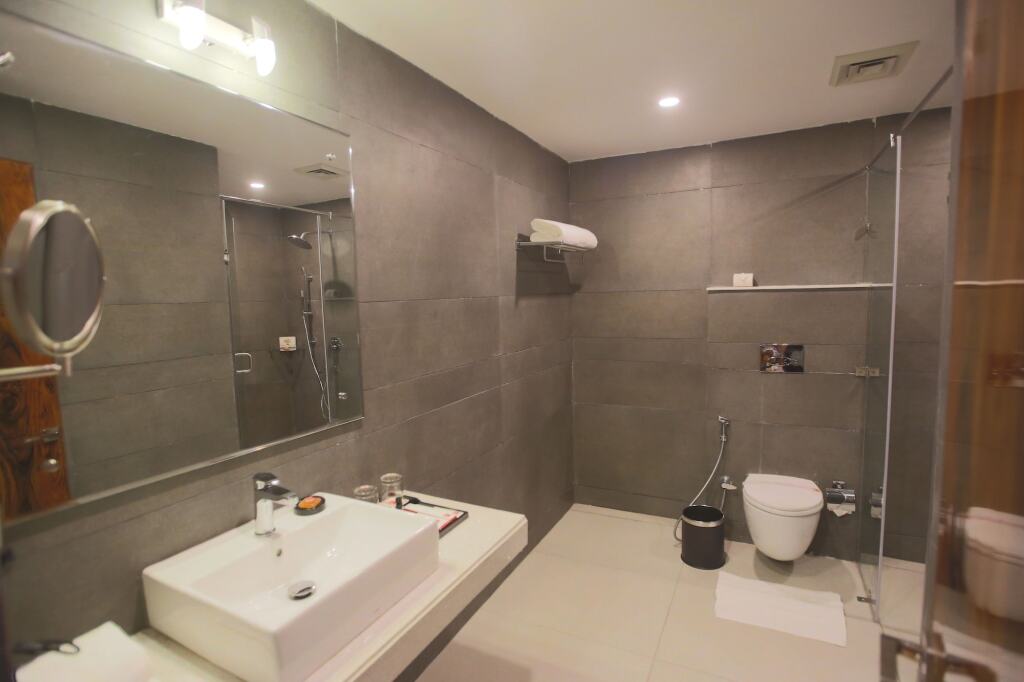 Бадди: ANA Clarks INN Panchkula