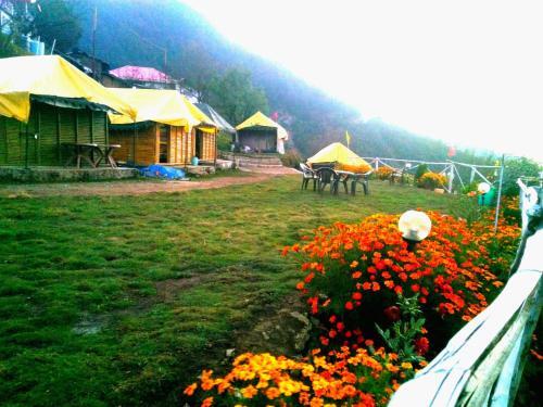 Техри: Dhanaulti  Wood Camp