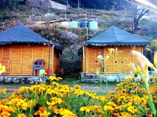 Dhanaulti  Wood Camp — фото 1