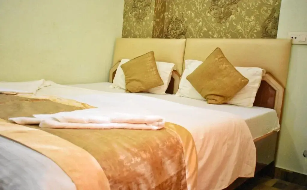 Сарнатх: Hotel Picasso