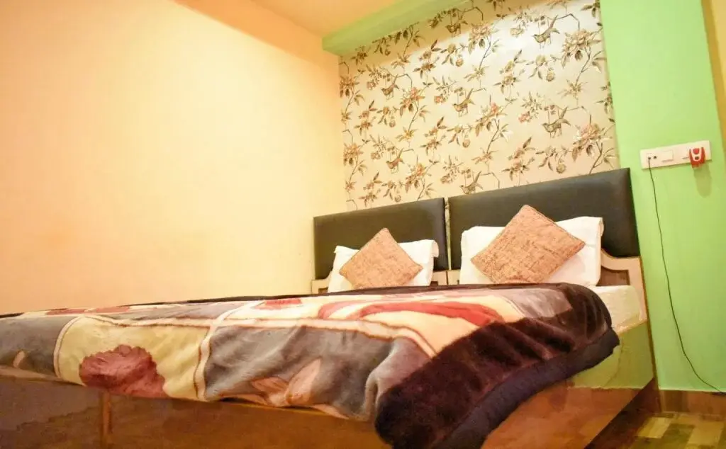Сарнатх: Hotel Picasso