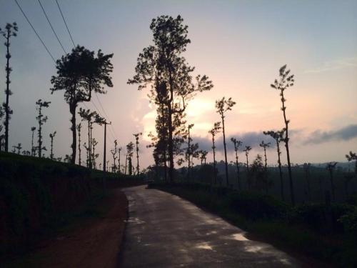 Гоникоппал: Camping In Remote Coorg