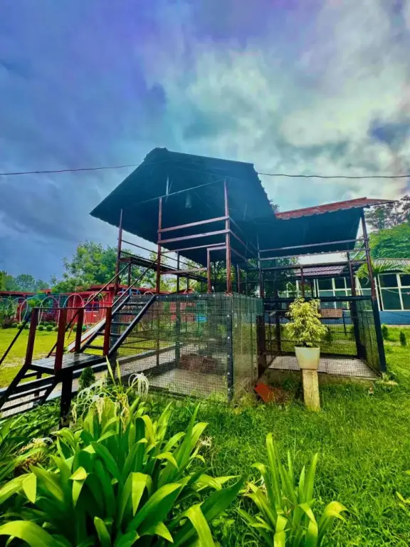 Кушалнагар: Coorg Nest Cottages