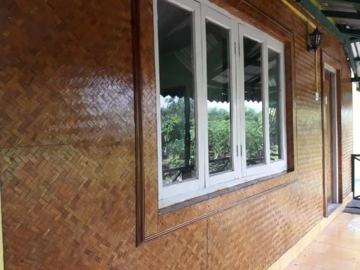 Дакшин Дхупджора: Green Tea Resort