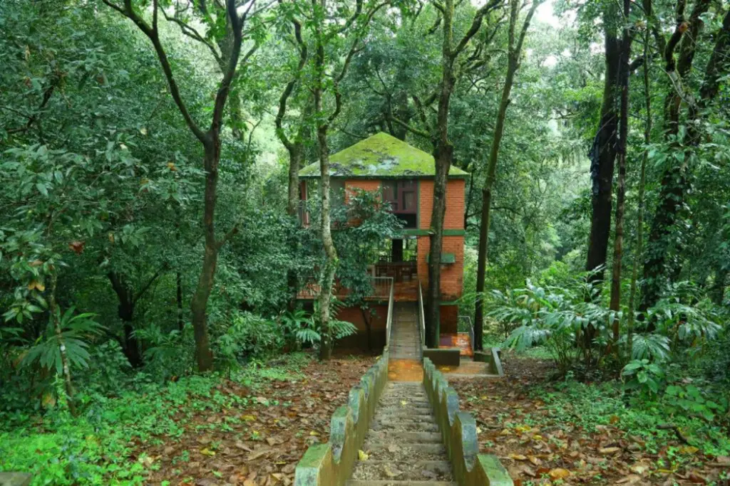 Куттикканам: Vagamon Heights