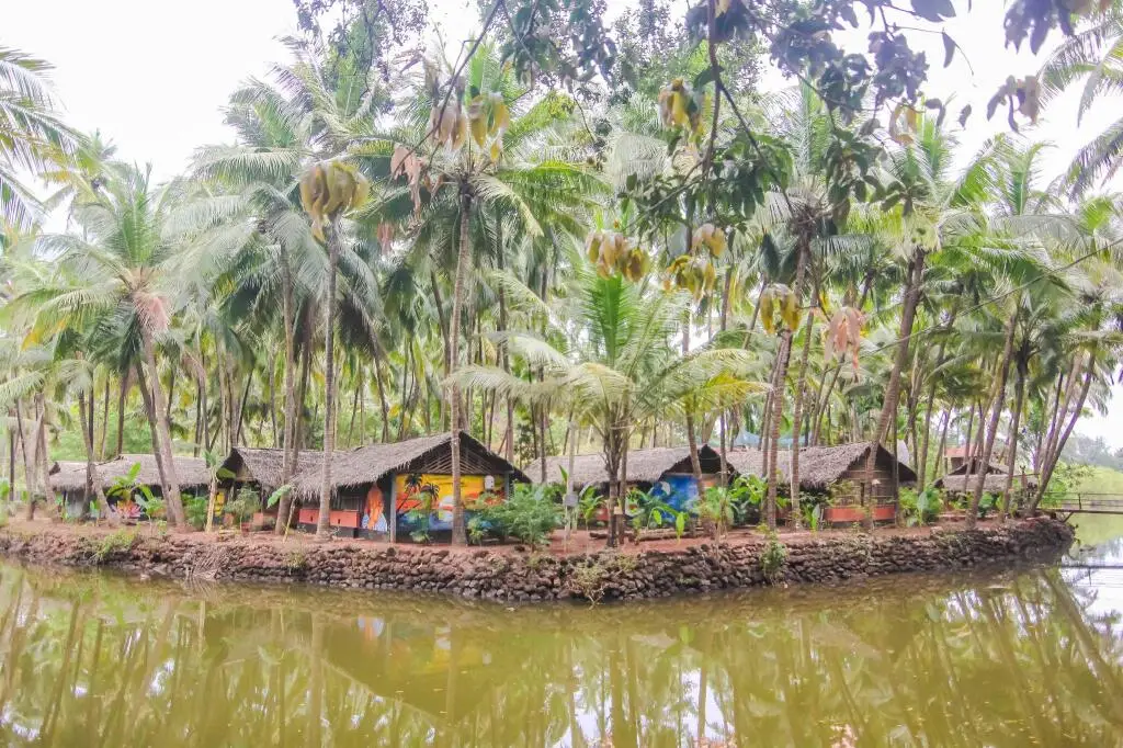 Южный Гоа: The Palm Trees Ayurvedic Resort Patnem