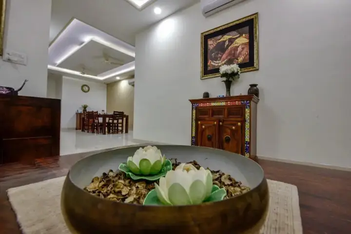 Джайпур: White Tulips Home Stay