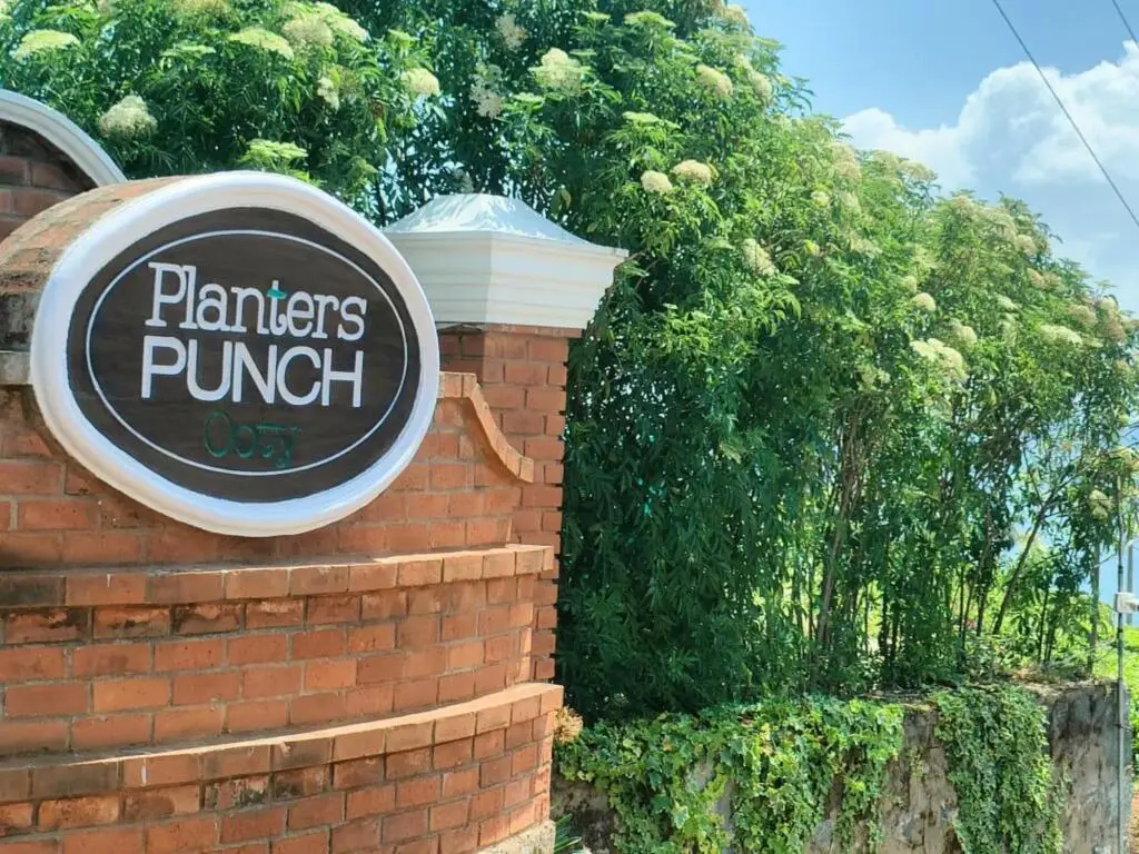 Ути: Planters Punch