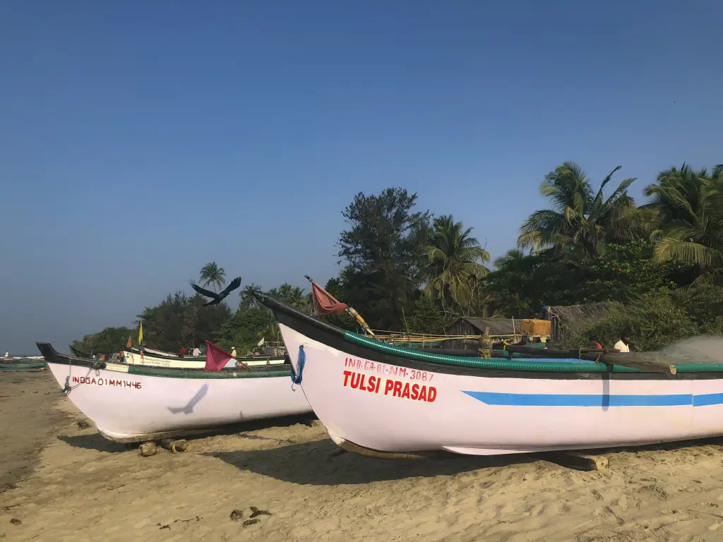 Морджим: Отель Devarya Wellness Beach Resort